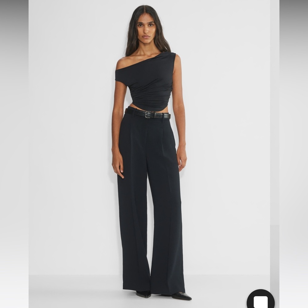 Aritzia Babaton effortless pants worn once  size 14